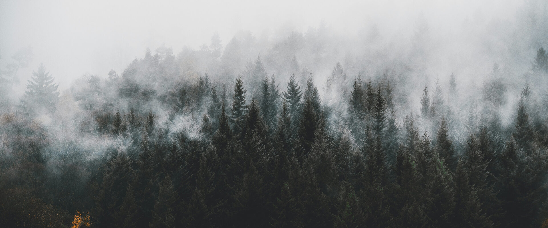 lili-kovac-JonGFaeFPgg-unsplash 2