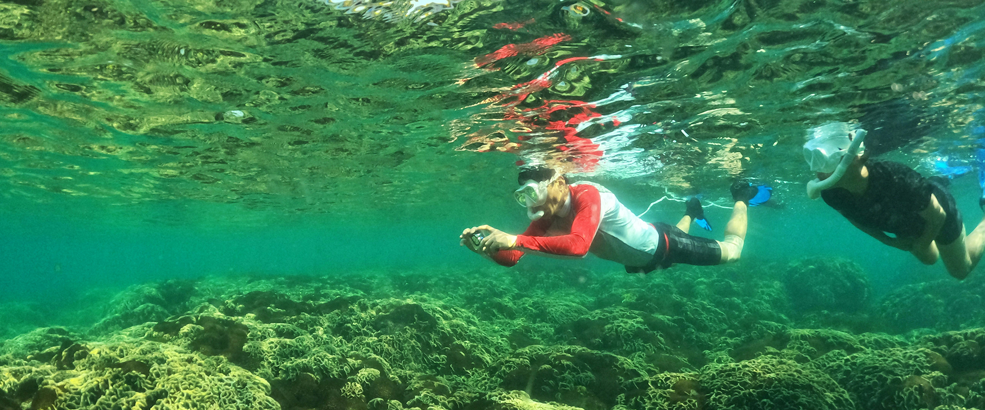 onbird-phu-quoc-4o8wQtfGPyw-unsplash 1