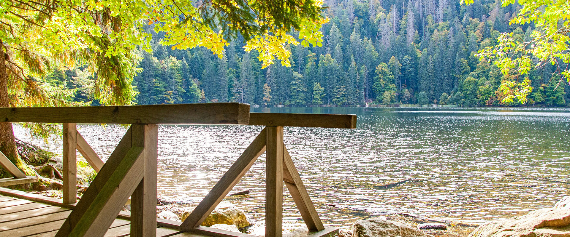 robin-st-YFukod-4lMA-unsplash 2